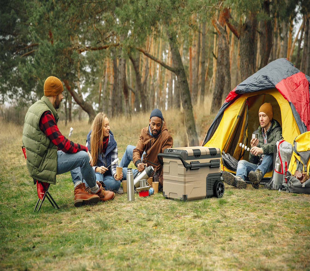 Alpicool TAW35 Portable Car Fridge on sale