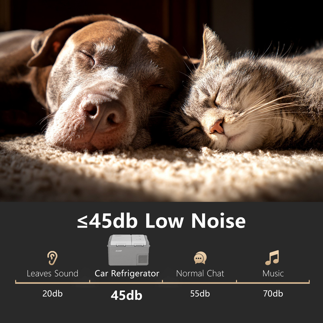 Zcamp GES35 Car Fridge Freezer