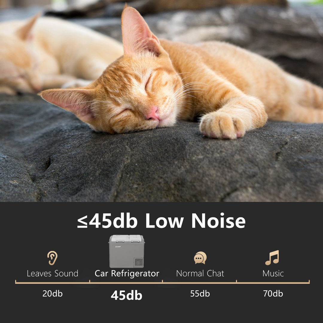 Zcamp GES55 Car Fridge Freezer